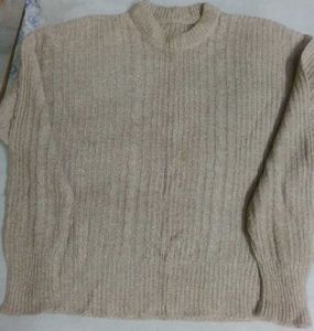Light Brown Pullover With Free Sleeveless Sweater
