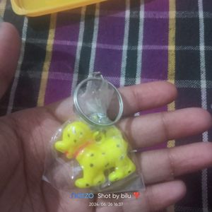 Combo Of Keychain For Bag And Keys