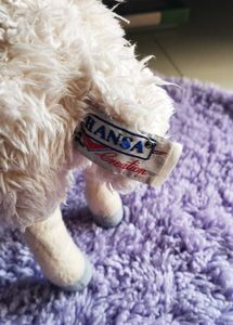 Real Sheep Toy