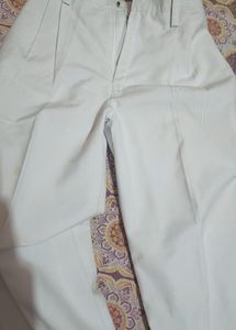 Men/Women Pant