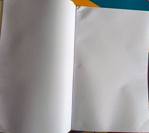 papergrid Notebook Ultra Long Book (33 cm x 21 cm), Unruled, 84 Pages, Soft Cover - Pack of 5( brand new)