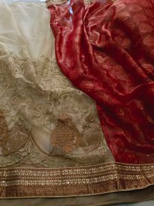 Orange Beige Net Saree