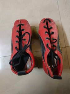 skating shoes