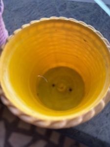 Plastic Flower Pots Set Of 8 Pieces