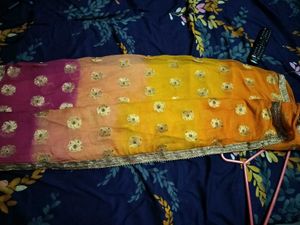 Elegant Ethnic Saree