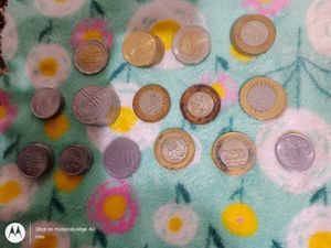Some Unique Coins