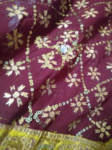 Beautiful Stylish Sree