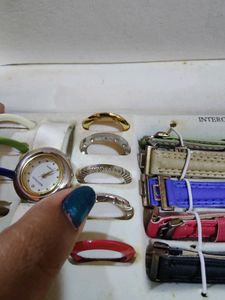 Interchangeable Watch