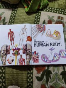 Human Body Encyclopedia