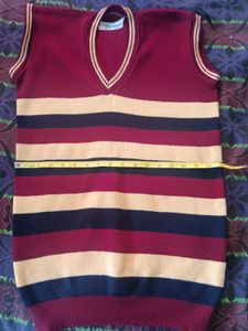 Striped Sleeveless Sweater Vest