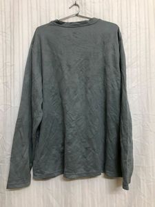 Champion Grey T Shirt