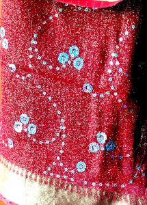 Sparkling Red &amp; Black Saree