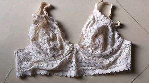 Beautiful Net Wired Bra