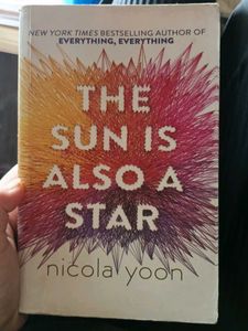 The Sun Is Also A Star Book