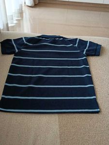 Ralph Lauren Polo Collar blue stripe t-shirt