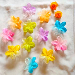 Colorful Flower Hair Clips