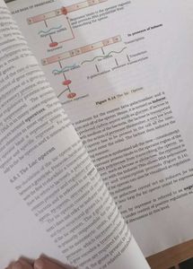 Biology Class XI and XII ncert Textbooks combo📑