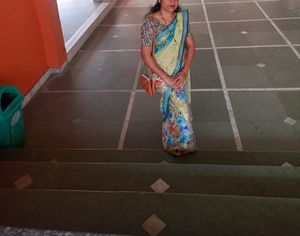 Net Saree