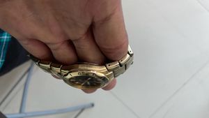 Citizen Luxury Watch