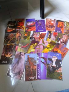 Einstein Cards From the US