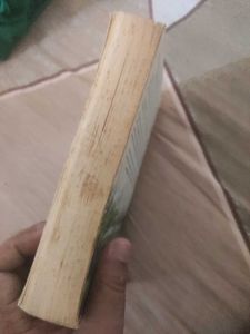 Southern Lights - Danielle Steel