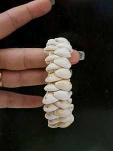 Set Of Three Original Shell Bracelet