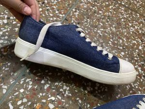 Shoes Roadster