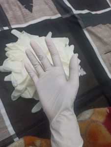 20 Pair Of Surgical Gloves