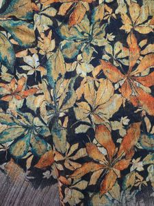 Striped &amp; Floral Print Saree