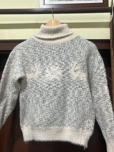 Stylish Turtleneck Sweater