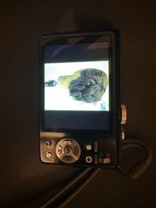 Panasonic Lumix Digital Camera