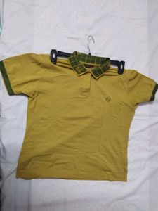 Olive Green Collar T-shirt For Office