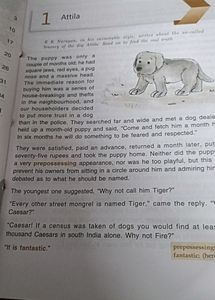Class 7 English Book