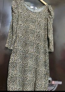 Brown 🟤 Lion Printed Dress For 34 Bust