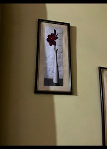 Frame 🖼️