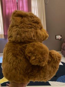Cute Brown Teddy Bear