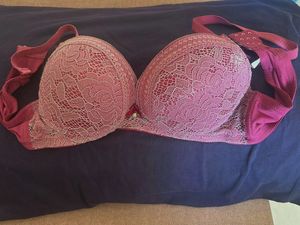 Burgundy Lace Padded Bra