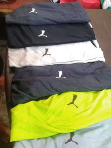 Combo Of Puma Premium Edition
