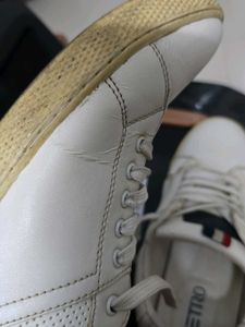 White Leather Casual Shoes