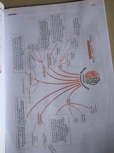 Class 12 Sample Papers 2025