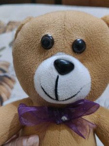 Teddy 🧸
