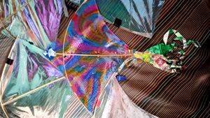 Kite Umbrella