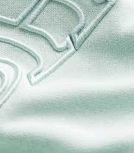 h&amp;m Embroided Mint Green/Shine Sweatshirt