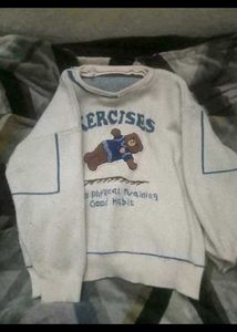 pinteresty teddy sweater