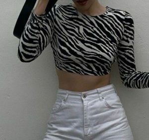 Urbanic Zebra Print Trendy Top