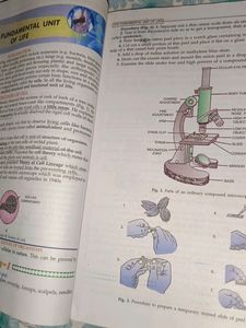 HOLY FAITH SCIENCE CLASS 9th BIOLOGY TERM I&amp;2