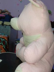 Teddy Bear For Someone Special