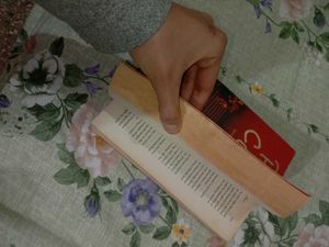 The Winner Stands Alone - Paulo Coelho