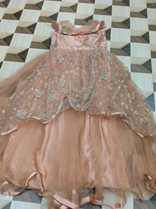 Elegant Ethnic Gown