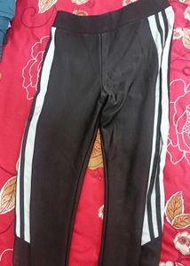 Gym Tights